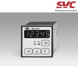 2 presets, totalizer and batch counter - NE216